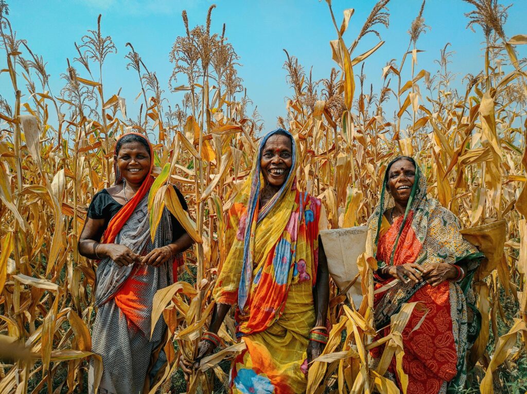 Happy women in vibrant saris harvesting corn in rural Odisha, India.